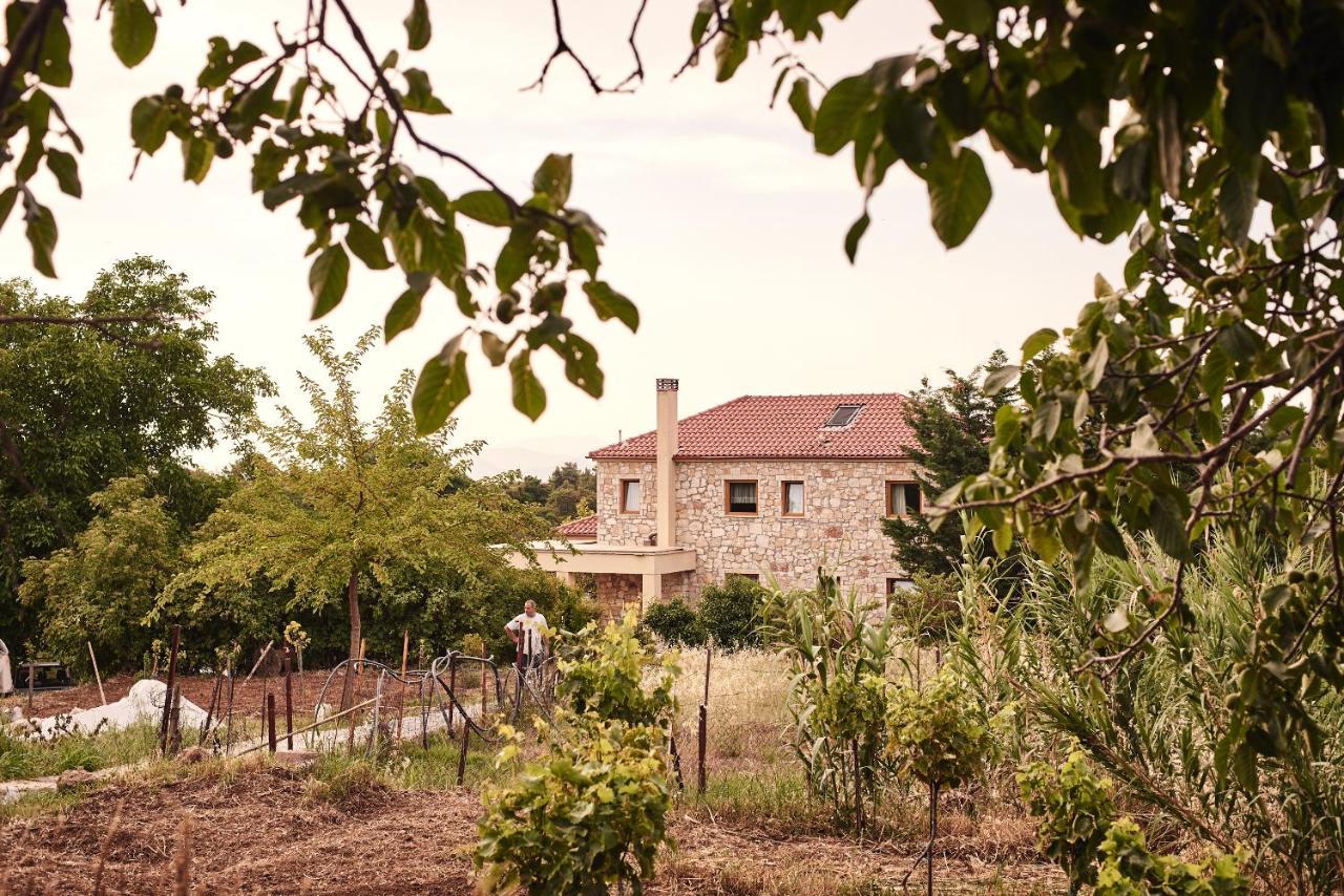 Elisson Hostel Krioneri  ภายนอก รูปภาพ