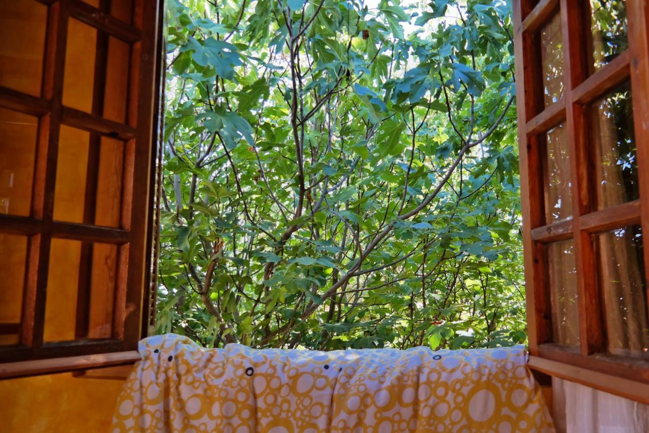 Elisson Hostel Krioneri  ภายนอก รูปภาพ